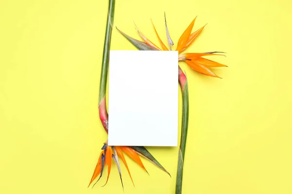Blanco Kaart Mooie Paradijsvogel Bloemen Gele Achtergrond — Stockfoto