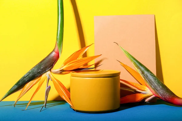 Composition Beautiful Strelitzia Flowers Bowl Color Background — Stock Photo, Image