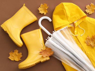 Şemsiye, lastik bot, yağmurluk ve arka planda sonbahar yaprakları, yakın plan