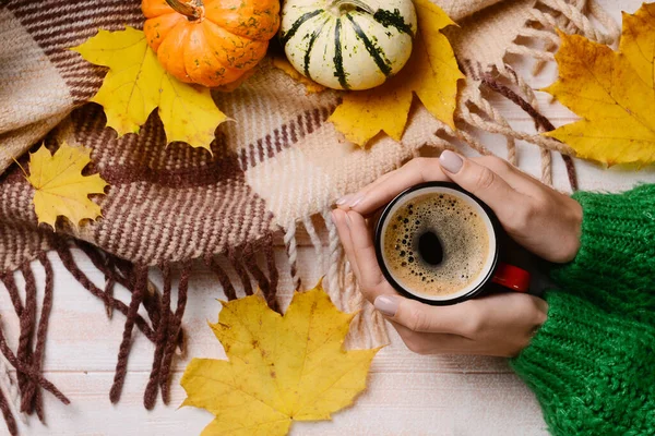 Female Hands Cup Coffee Ripe Pumpkins Autumn Leaves Light Wooden — Stock Photo, Image