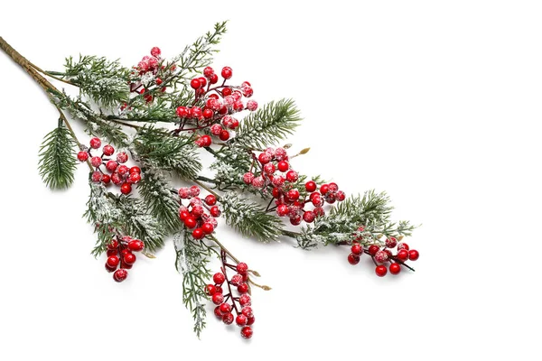 Bello Ramo Abete Natale Con Bacche Rosse Sfondo Bianco — Foto Stock