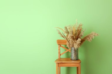 Renkli duvarın yanındaki sandalyede kuru kamışlı vazo.