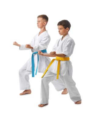 Beyaz arka planda karate yapan küçük çocuklar.