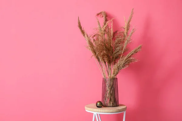Vase Dry Reeds Table Color Wall — Stock Photo, Image