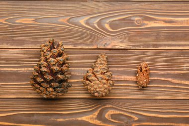 çam kozalakları üzerindeki ahşap arka plan