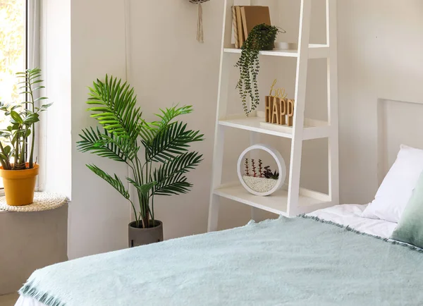 現代的な部屋の大きな快適なベッドと観葉植物 — ストック写真
