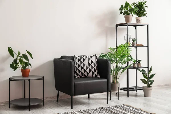 Fauteuil Confortable Étagère Avec Plantes Intérieur Près Mur Lumière Dans — Photo