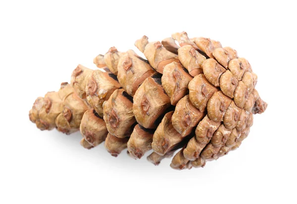 Beautiful Pine Cone White Background — Stock Photo, Image