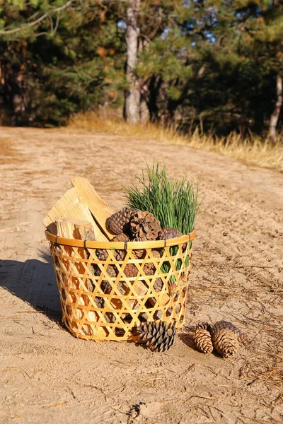 Güzel kozalaklı sepet, köknar dalları ve ormanda yakacak odun.