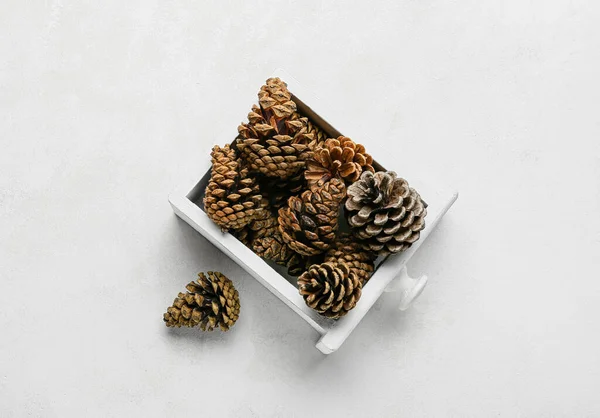 Caixa Com Cones Pinheiro Sobre Fundo Branco — Fotografia de Stock