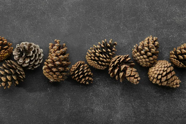 Koyu arkaplanda çam kozalakları