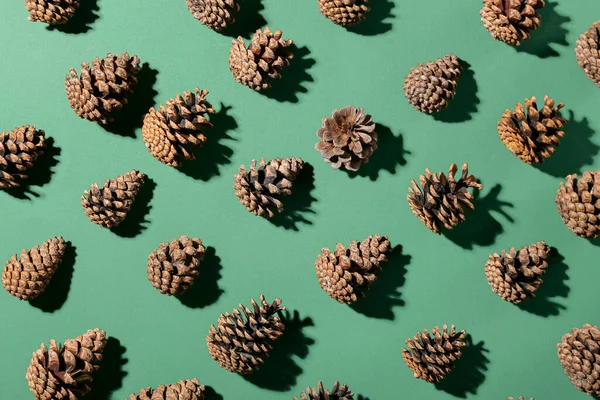 Pine Cones Green Background — Stock Photo, Image