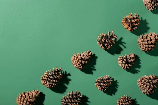 Pine Cones Green Background — Stock Photo, Image