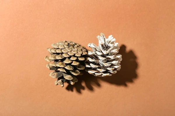 Pine Cones Brown Background — Stock Photo, Image