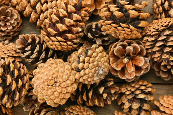 Texture Pine Cones Closeup — Stock Photo, Image