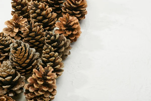 Pine Cones Light Background — Stock Photo, Image