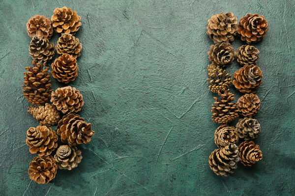 Pine cones on dark background