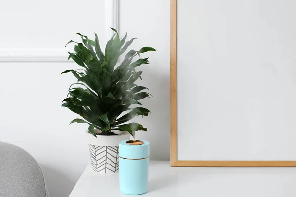 Modern Humidifier Houseplant Shelf Room — Stock Photo, Image