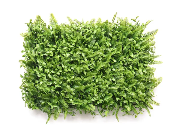 Green Grass Mat White Background — Stock Photo, Image