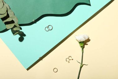 Şık altın mücevherler, okaliptüs dalı ve karanfil çiçeği.