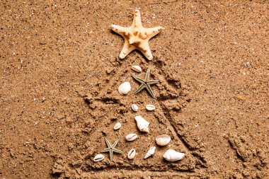 Kumsaldaki deniz kabuklarından yapılmış Noel ağacı.