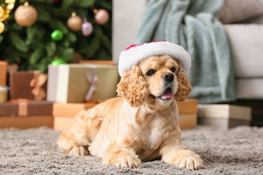 Noel arifesinde evde sevimli bir köpek var.