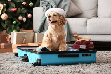 Hediyeli, pasaportlu ve biletli sevimli köpek Noel arifesinde evde bavulunda oturuyor.