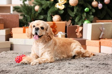 Noel arifesinde evde sevimli bir köpek var.