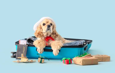 Bavulu, pasaportu ve renkli bileti olan sevimli bir köpek.
