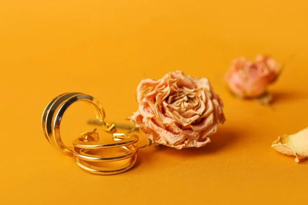 Golden Earrings Dry Rose Buds Color Background — Stock Photo, Image