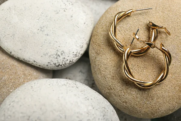 Stylish Golden Earrings Stones — Stock Photo, Image
