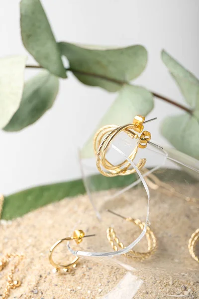 Broken Glass Stylish Golden Jewelry Eucalyptus Branch — 图库照片