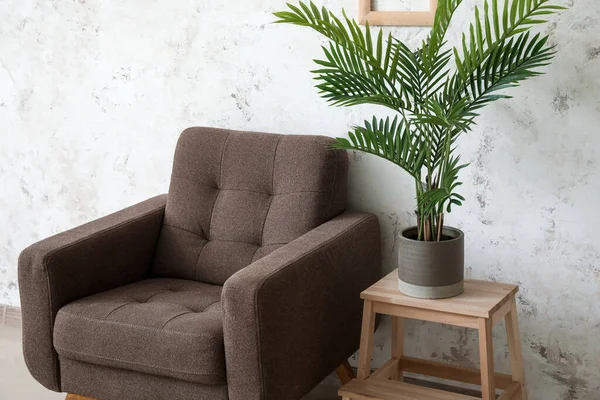 Cozy Armchair Houseplant Stool Light Wall — Stock Photo, Image