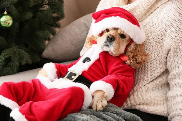 Женщина Очаровательной Собакой Костюме Санты Дома Канун Рождества — стоковое фото