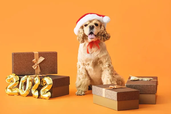 Rozkošný Pes Novoroční Dárky Barevném Pozadí — Stock fotografie