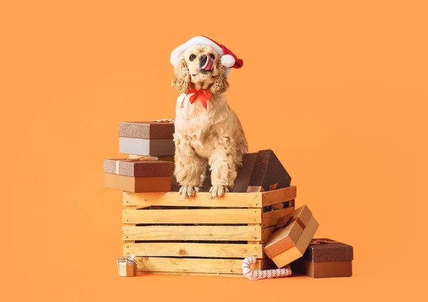 Rozkošný Pes Vánoční Dárky Barevném Pozadí — Stock fotografie