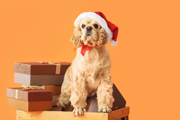 Rozkošný Pes Vánoční Dárky Barevném Pozadí — Stock fotografie