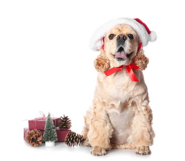 Cão Adorável Chapéu Santa Com Presentes Natal Fundo Branco — Fotografia de Stock