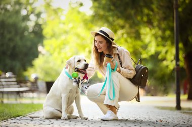Yaz günü parkta şirin Labrador 'lu bir kadın.