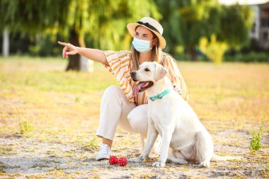 Sağlık maskeli bir kadın ve yaz günü dışarıda sevimli bir Labrador.