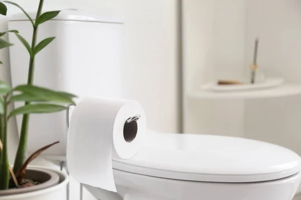 Rolle Toilettenpapier Modernen Toiletten — Stockfoto