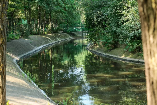 Prachtig Groen Park Met Vijver — Stockfoto