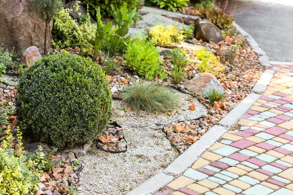 Güzel yeşil parktaki yaratıcı manzara tasarımı