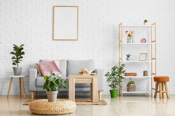 Houseplants Sofa Modern Stylish Interior Living Room — Stock Photo, Image