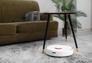 Kanepenin yanında sevimli kedisi olan modern robot elektrikli süpürge.