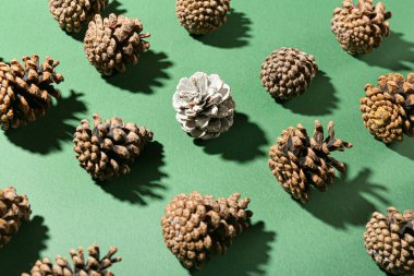 Yeşil arkaplanda çam kozalakları