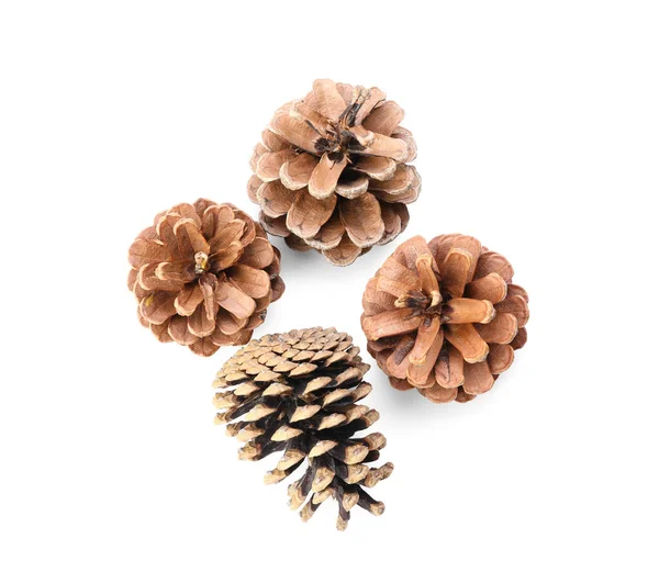 Beautiful Pine Cones White Background — Stock Photo, Image