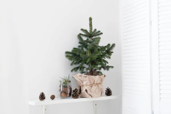 Jar Pine Cones Christmas Tree Pot Shelf Indoors — Stock Photo, Image