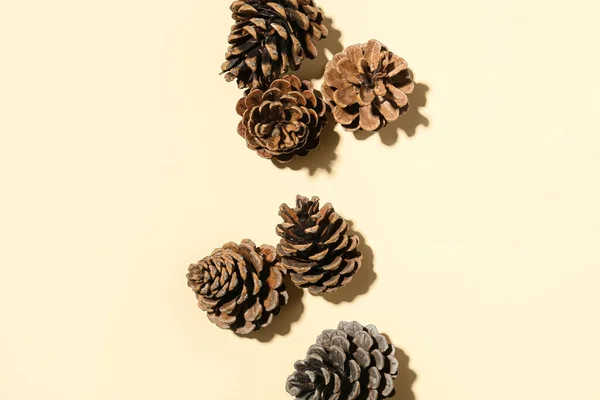 Pine Cones Beige Background — Stock Photo, Image