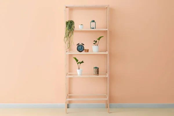 Houten Plankenkast Met Planten Wekker Nabij Roze Muur — Stockfoto